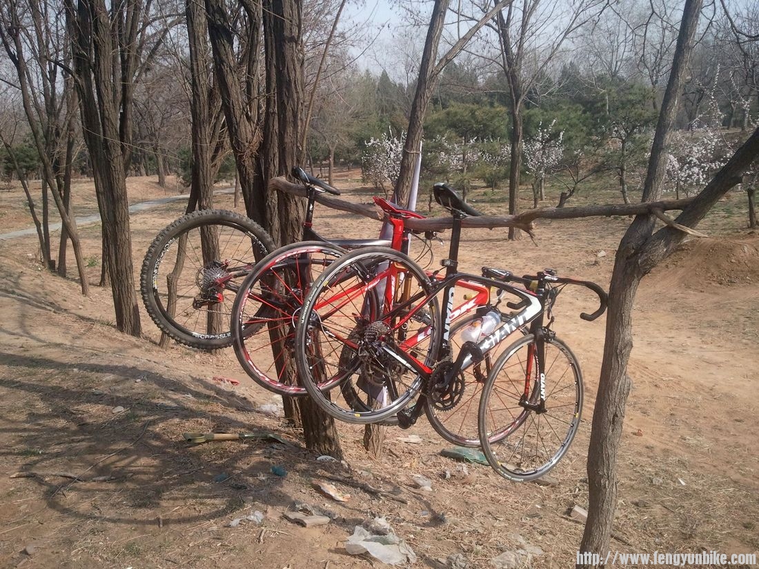 nEO_IMG_2012-04-07 15.36.26.jpg