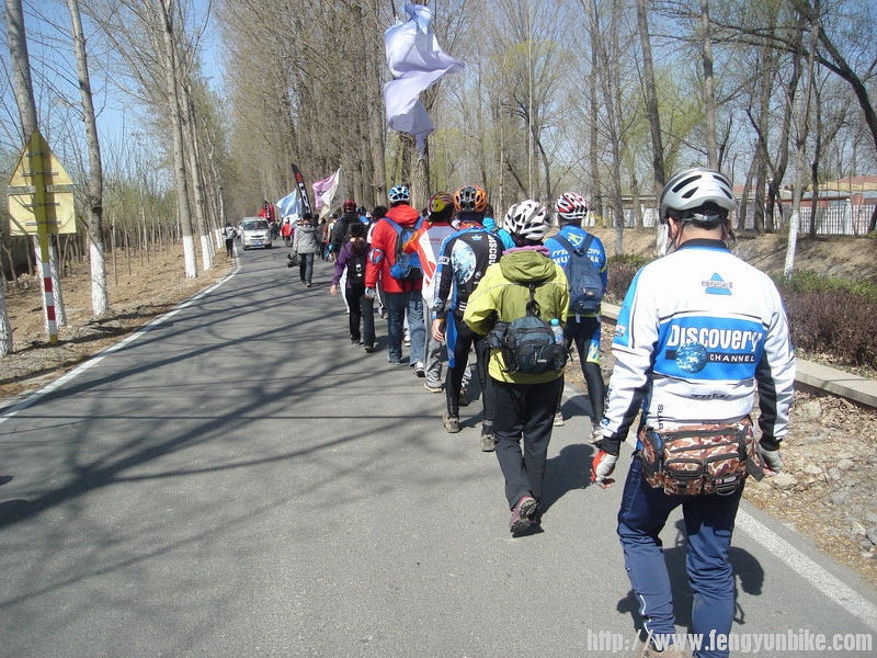 步行一公里去栽树。