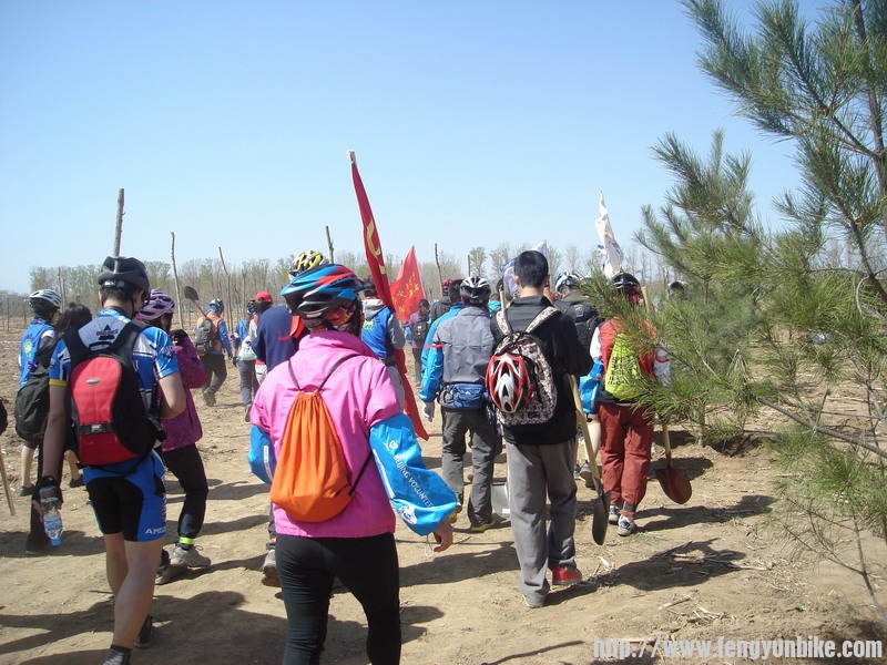 来到园林栽树地。