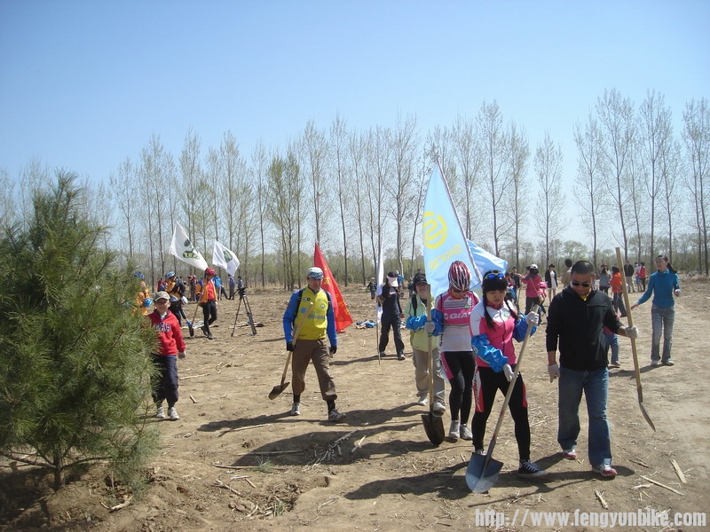 栽树活动开始了。