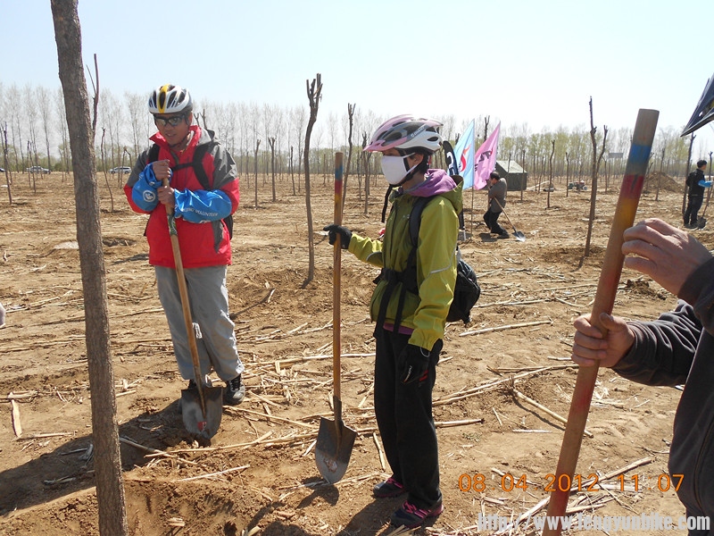 看看树栽的好不好