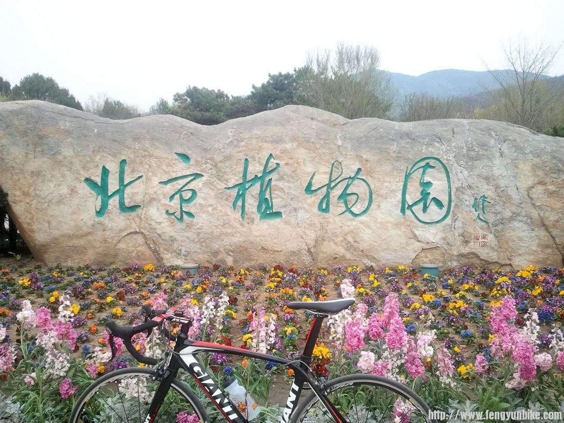 nEO_IMG_2012-04-10 17.00.39.jpg