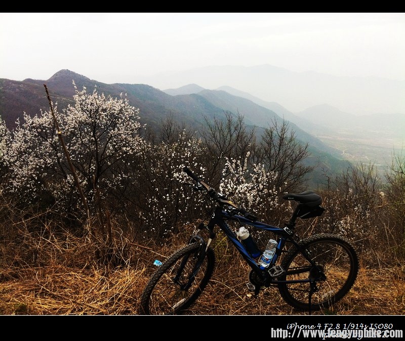 nEO_IMG_骑行-香山 018.jpg