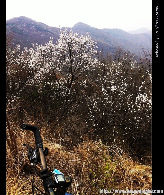 nEO_IMG_骑行-香山 019.jpg