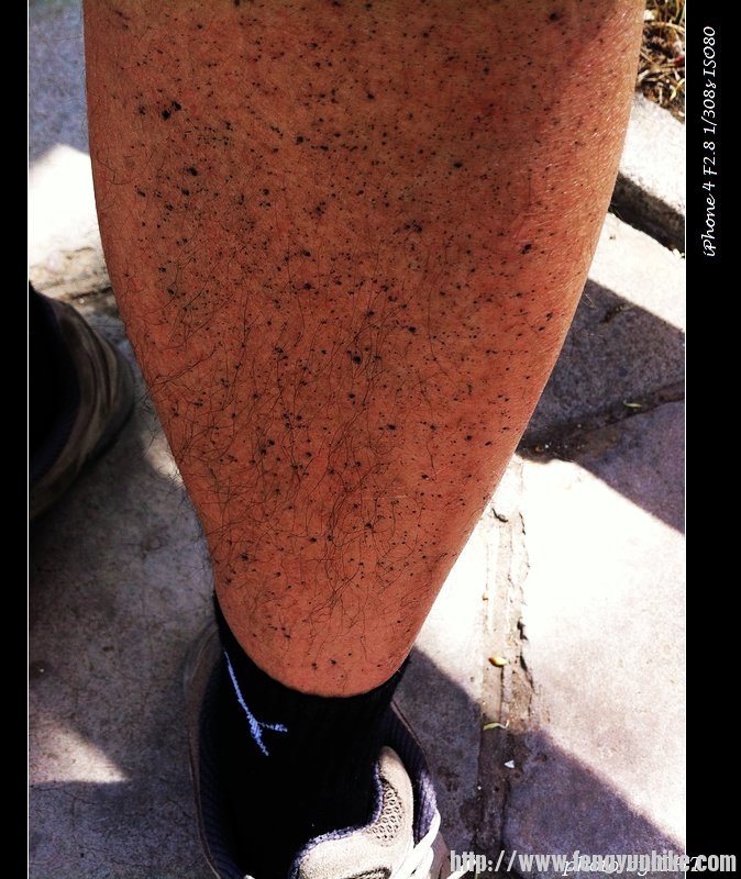 nEO_IMG_骑行-香山 059.jpg