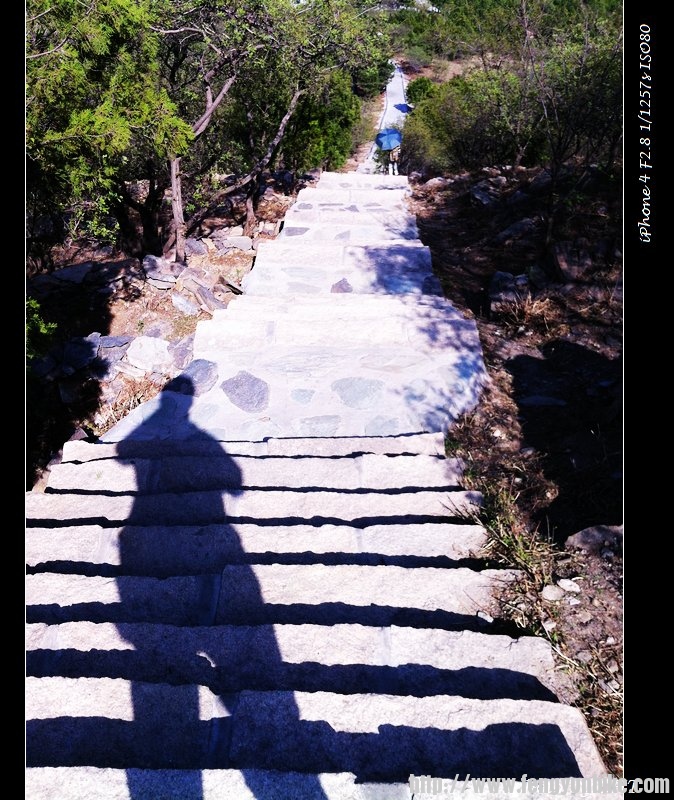 nEO_IMG_骑行-香山 065.jpg