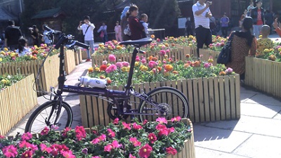 一只小折叠飞在花丛中