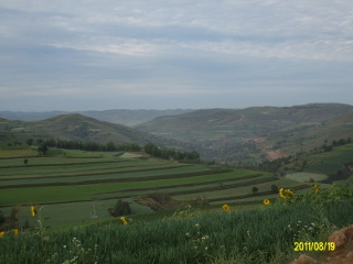 ALIM1641 (320x240).jpg