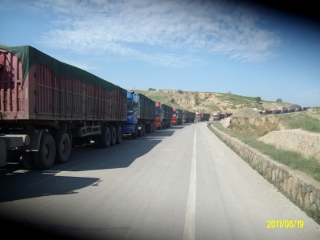 ALIM1642 (320x240).jpg