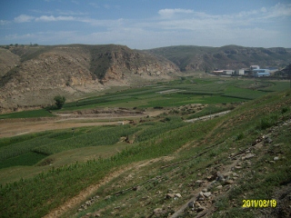 ALIM1645 (320x240).jpg