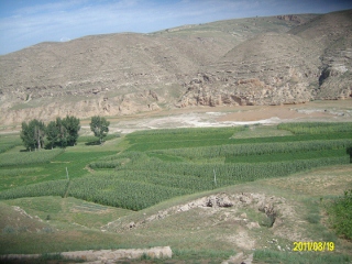 ALIM1644 (320x240).jpg