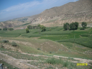 ALIM1646 (320x240).jpg