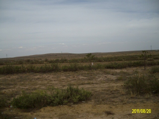 ALIM1663 (320x240).jpg