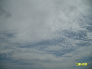 ALIM1662 (320x240).jpg