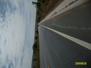 ALIM1665 (320x240).jpg