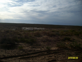 ALIM1669 (320x240).jpg