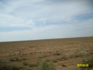 ALIM1667 (320x240).jpg