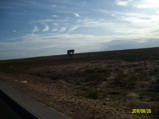 ALIM1670 (320x240).jpg