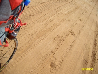 ALIM1672 (320x240).jpg