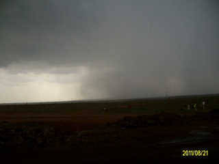 ALIM1681 (320x240).jpg