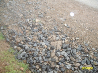 ALIM1684 (320x240).jpg