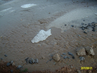 ALIM1687 (320x240).jpg