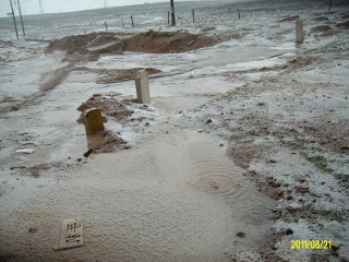 ALIM1690 (320x240).jpg