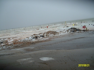 ALIM1689 (320x240).jpg