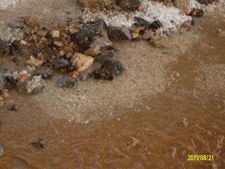 ALIM1692 (320x240).jpg