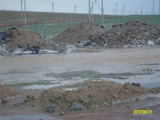 ALIM1694 (320x240).jpg