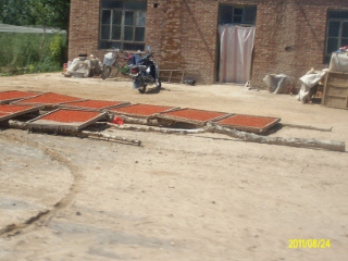 ALIM1713 (320x240).jpg