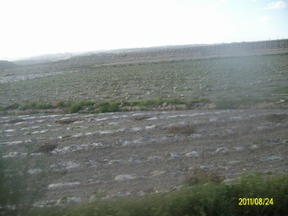 ALIM1720 (320x240).jpg