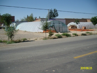 ALIM1728 (320x240).jpg