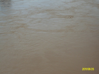 ALIM1733 (320x240).jpg