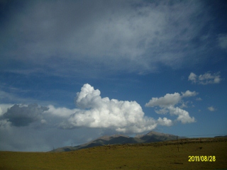 ALIM1767 (320x240).jpg