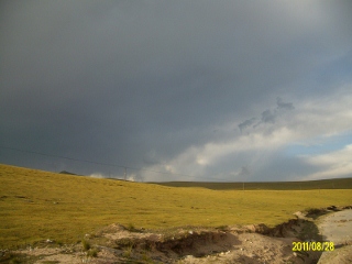 ALIM1768 (320x240).jpg