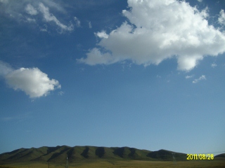 ALIM1769 (320x240).jpg