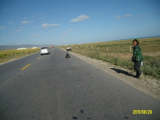 ALIM1772 (320x240).jpg