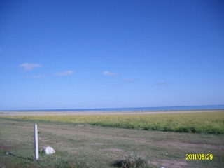 ALIM1775 (320x240).jpg