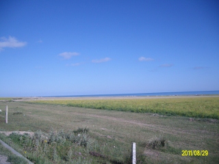 ALIM1774 (320x240).jpg