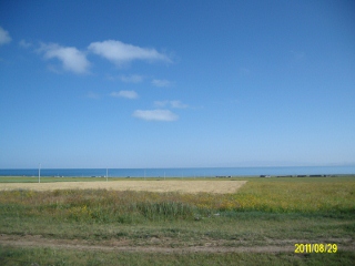 ALIM1777 (320x240).jpg