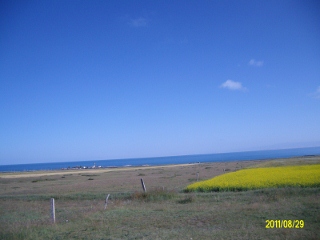 ALIM1779 (320x240).jpg