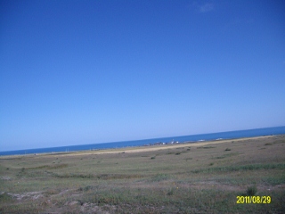 ALIM1780 (320x240).jpg