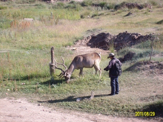 ALIM1781 (320x240).jpg