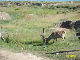 ALIM1784 (320x240).jpg