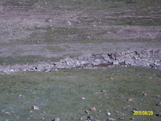 ALIM1793 (320x240).jpg