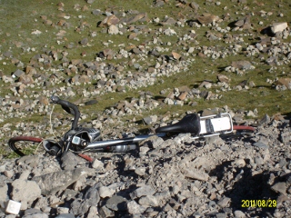 ALIM1794 (320x240).jpg