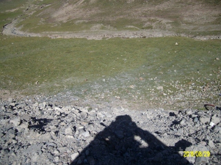 ALIM1795 (320x240).jpg