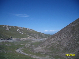 ALIM1797 (320x240).jpg