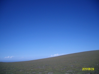 ALIM1800 (320x240).jpg